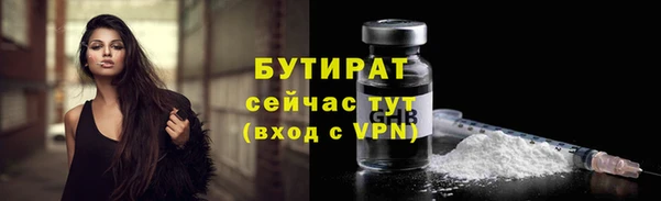 индика Кукмор