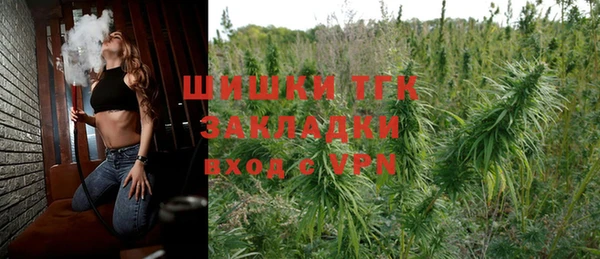 индика Кукмор