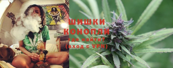 индика Кукмор